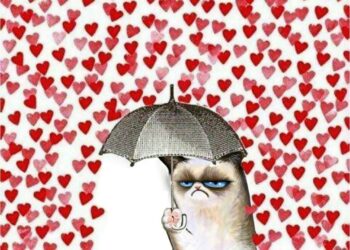 Les meilleurs films pour ceux qui abhorrent la SAINT VALENTIN.