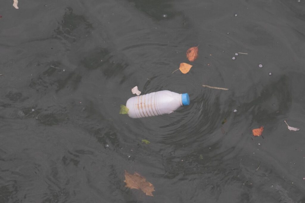 b5704c2 sirius fs upload 1 mjqv3lc6rpse 1744007611083 sipa 01167756 000009