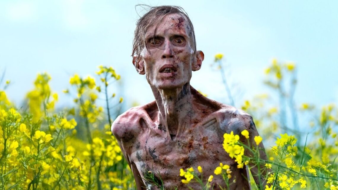 28 ans plus tard punk mutant implacable La suite