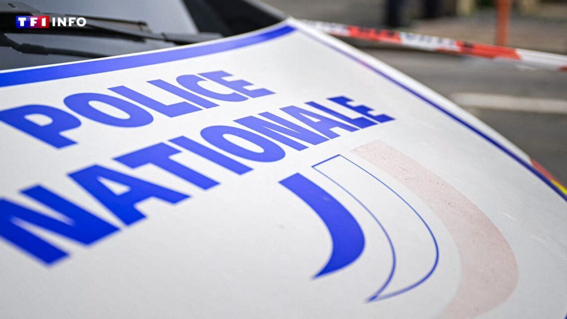 police nationale illustration afp 0cff55 0@1x