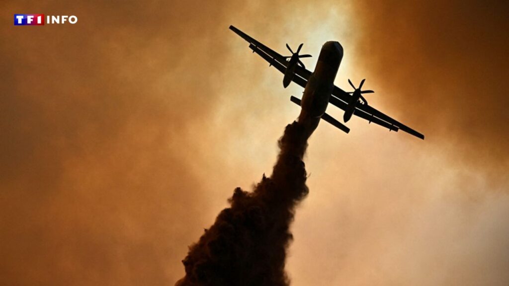 canadair incendie feu aude 06 aout 2025 622f6d 0@1x