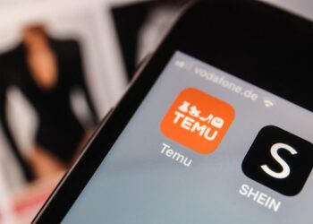 Des illustrateurs dénoncent le plagiat de leurs œuvres par Temu, Shein, AliExpress et Amazon. 6 Des illustrateurs dénoncent le plagiat de leurs œuvres par Temu, Shein, AliExpress et Amazon.