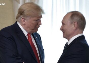 Ukraine : Trump disposé à rencontrer Poutine, malgré le refus de ce dernier de dialoguer avec Zelensky.